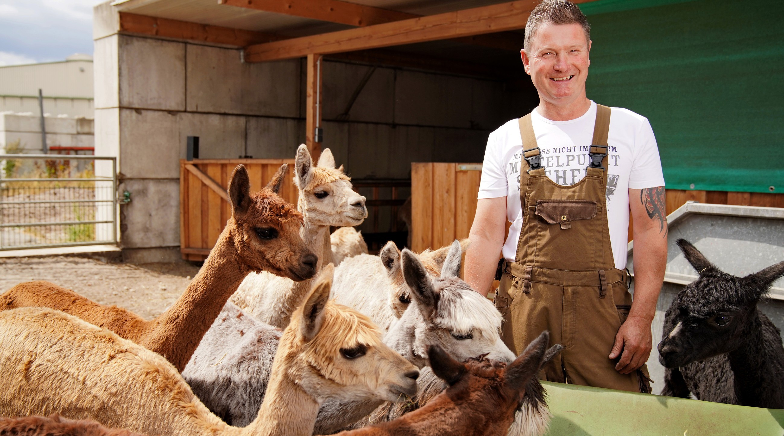 Henry (49) aus Niedersachsen hat sich mit seiner Alpakazucht einen Traum erfüllt.