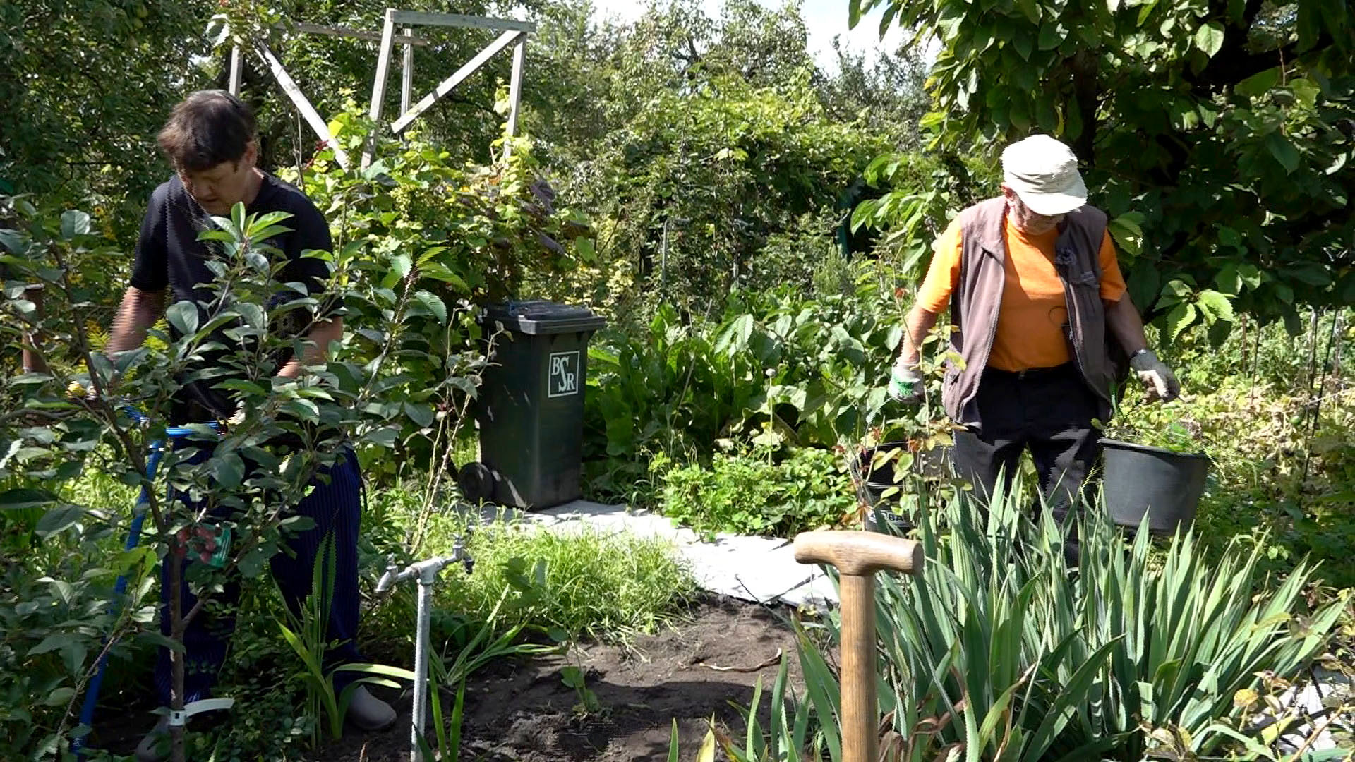 Diese Woche bei "Von Hecke zu Hecke - Bunte Beetgeschichten"